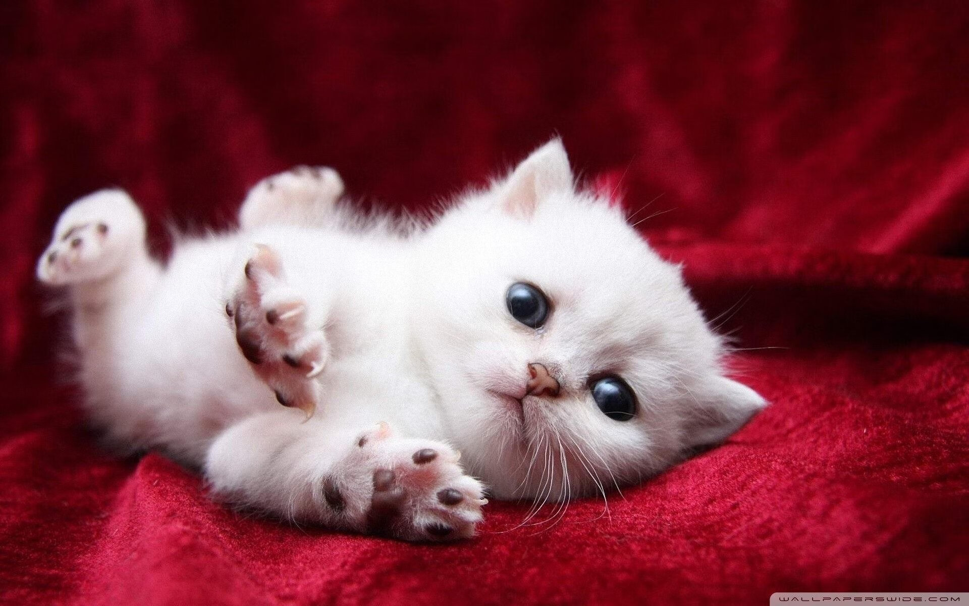 B体育亚洲官方网站-篮网宣布轮换阵容调整加强防守强度，篮网更换