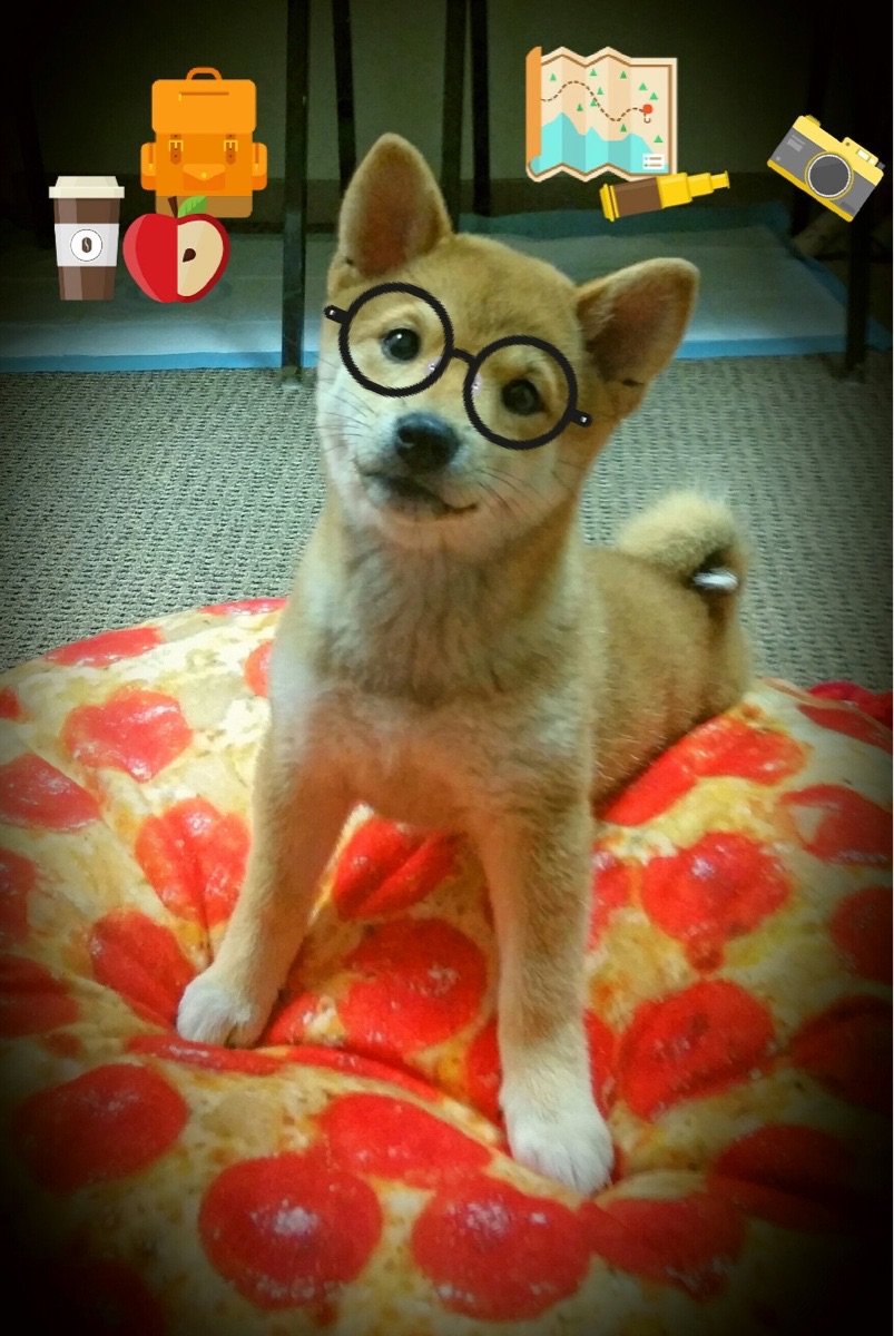 维尔·冯·威克：南非队的锋线引擎，他的进攻总是能打破防守封锁