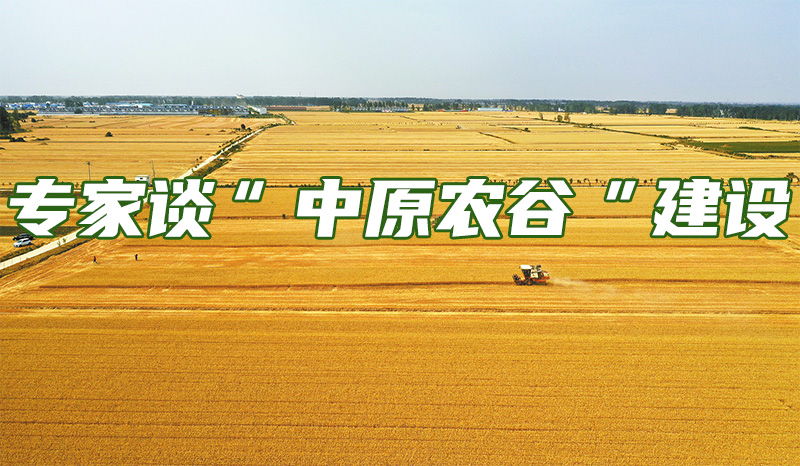 关于B体育平台:中国足球媒体报道的客观性与专业性分析：基于内容分析与专家访谈的信息