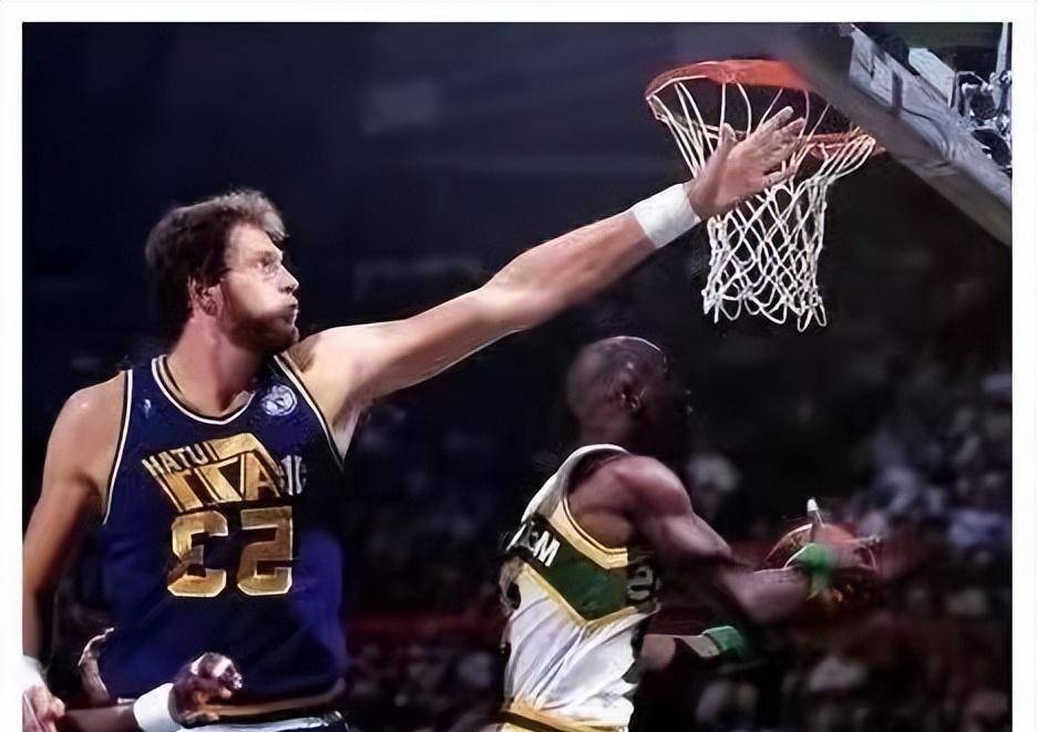 NBA历史上的最佳盖帽
